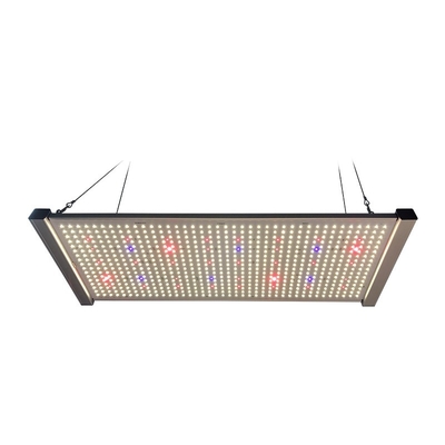 320W Quantum Board LED Grow Lights Full Spectrum SEOUL UV 395nm