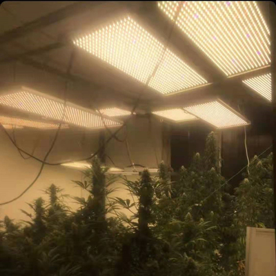 320W Quantum Board LED Grow Lights Full Spectrum SEOUL UV 395nm
