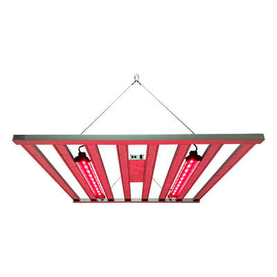 800W 8barów Samsung LM281B Full Spectrum LED Light do hydroponiki wewnętrznej 4x4 ft
