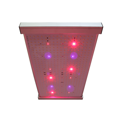 Quantum 2x2 LED R światło